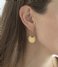 A Beautiful Story  Precious Carnelian GP Earrings Gold plated
