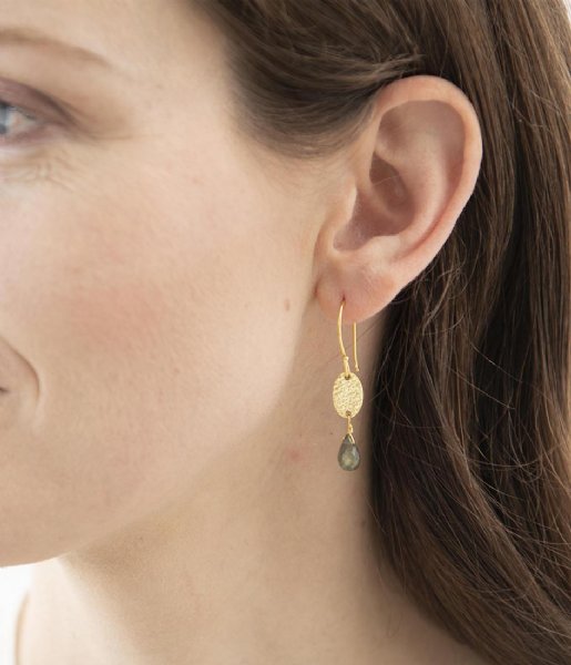 A Beautiful Story  Hopeful Labradorite Gold Earrings Goud