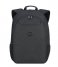 Delsey  Delsey Esplanade Backpack 17.3 Inch Deep Black