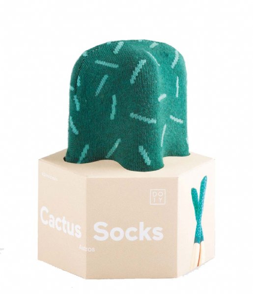 DOIY  Cactus Socks astros