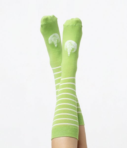 DOIY  Latte Socks matcha