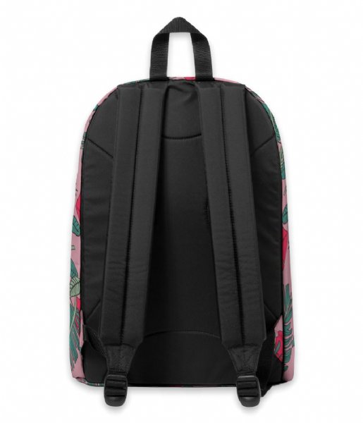 Eastpak  Out Of Office Brize Tropical (K81)