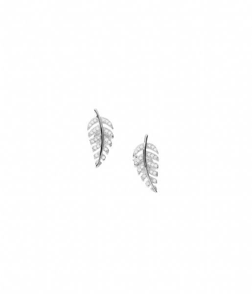 Fossil  Leaves Silver