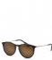 IKKI  Max Sunglasses tortoise solid brown (17-11)