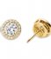Michael Kors  Stud Earrings MKC1035AN710 Gold colored