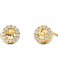 Michael Kors  Stud Earrings MKC1033AN710 Gold colored