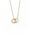 Orelia  Linear interlocking ring necklace Gold colored