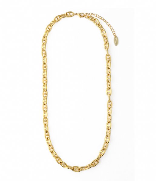 Orelia  Mariner Chain Necklace Goudkleurig
