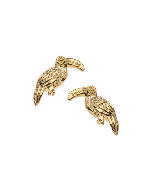 Orelia  Mini Toucan Stud Earrings pale gold