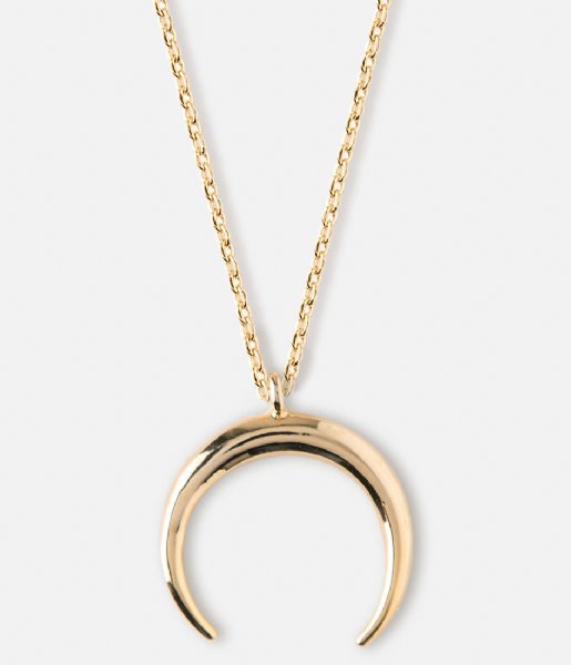 Orelia  Crescent Ditsy Necklace gold plated (ORE23096)