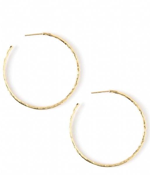 Orelia  Hammered Hoop Earrings pale gold plated (ORE23088)