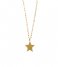 Orelia  Star Collar Length Necklace pale gold plated (ORE25159)