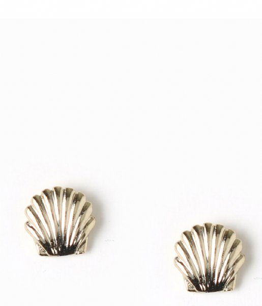 Orelia  Shell Stud Earrings gold plated (ORE25407)