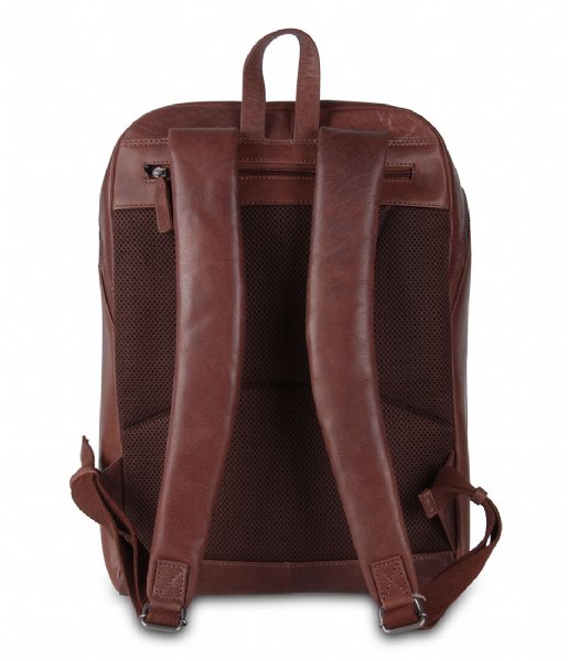 Plevier  Amaril Laptop Backpack 15.6 Inch Brown (2)