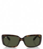 Ray Ban 0RB4389 Donkerbruin (71031)