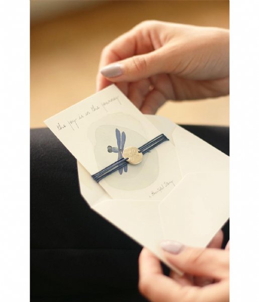 A Beautiful Story  Jewelry Postcard Dragonfly dragonfly