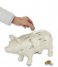 Balvi  Coin Bank Cuts Of Pork White