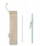 Balvi  Reusable Straw Set Climber Cat Green