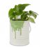 Balvi  Flower Pot Painty Green