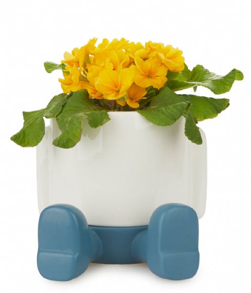 Balvi  Flower Pot Mr Sitty Blue