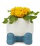 Balvi  Flower Pot Mr Sitty Blue