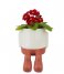 Balvi  Flower Pot Mr Dangly Red