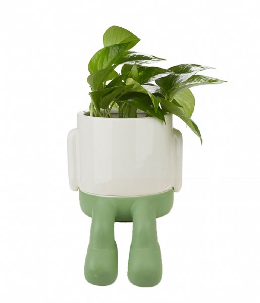 Balvi  Flower Pot Mr Dangly Green