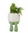 Balvi  Flower Pot Mr Dangly Green