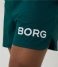 Bjorn Borg  Borg Short Shorts Botanical Garden (GN041)
