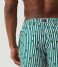 Bjorn Borg  Borg Print Swim Shorts Bb Summer Stripe (PD403)