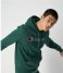 Champion  Hooded Sweatshirt Trekking Green (GS568)