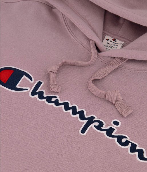 Champion  Hooded Sweatshirt Elderberry (PS162)