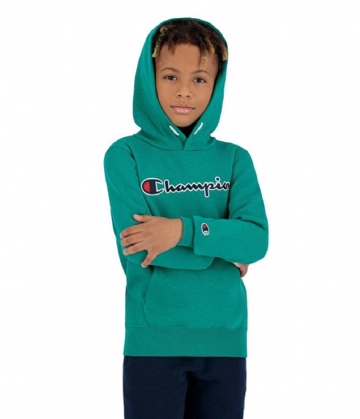 Champion  Kids Hooded Sweatshirt CDG (GS091)