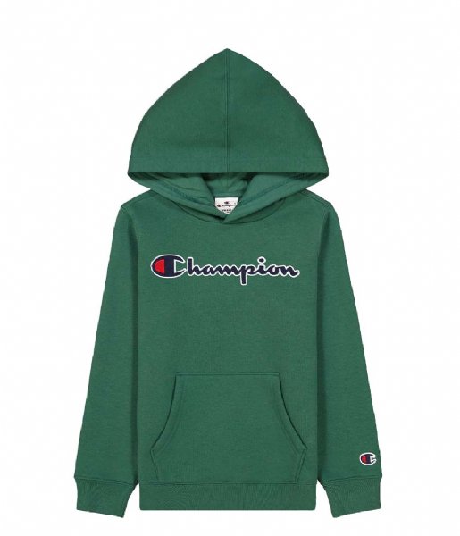 Champion  Kids Hooded Sweatshirt Trekking Green (GS568)