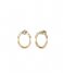Guess  Earrings Sunburst JUBE01402JWYGT Gold