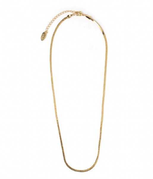 Orelia  Flat Snake Chain Necklace Gold plated