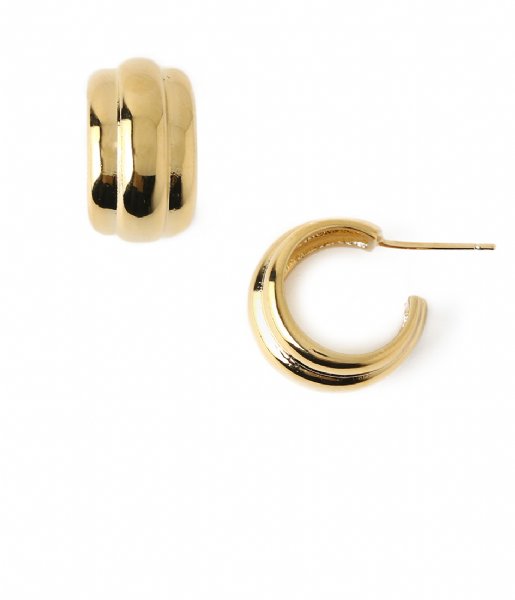 Orelia  Voluminous Earrings Gold plated