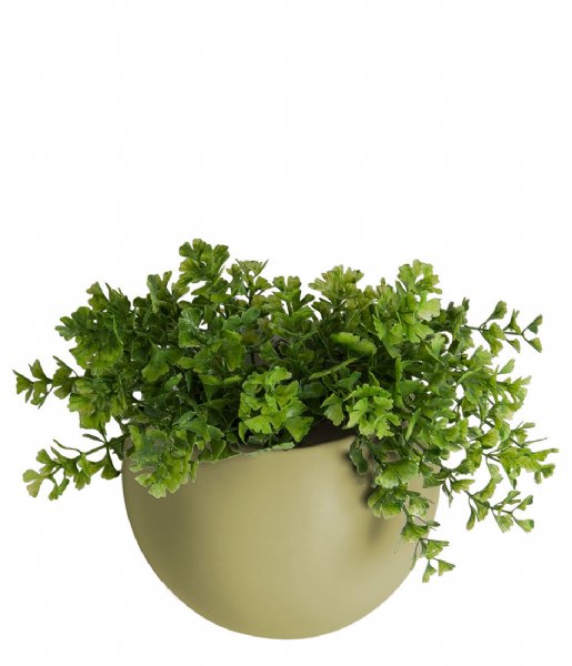 Present Time  Wall plant pot Globe ceramic matt Olive Green (PT3382OG)