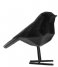 Present Time  Statue bird small polyresin Flocked Black (PT3550BK)