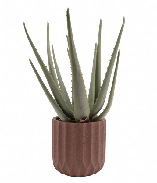 Present Time  Plant pot Stripes cement small clay brown (PT3602BR)