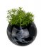 Present Time  Wall plant pot Globe marble print Black (PT3736BK)