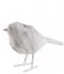 Present Time  Statue bird small polyresin marble print White (PT3756WH)