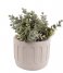 Present Time  Plant pot Drips cement large Ivory (PT3603WH)