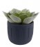 Present Time  Plant pot Drips cement small Dark blue (PT3605BL)