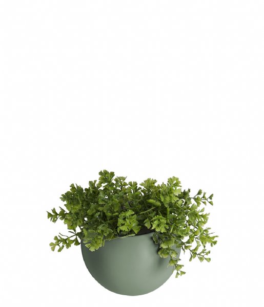 Present Time  Wall plant pot Globe ceramic matt green (PT3382GR)