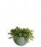 Present Time  Wall plant pot Globe ceramic matt green (PT3382GR)