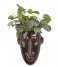 Present Time  Wall plant pot Mask long glazed Dark Brown (PT3503BR)