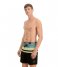 Puma  Swim Heritage Stripe Mid Shorts 1P Sea Green (001)
