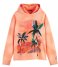Scotch and Soda  Relaxed Embroidery Washed Felpa Hoodie Light Terra
