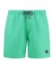 Shiwi  Men Swim Short Recycled Mike Solid Pappagallo Green (676)